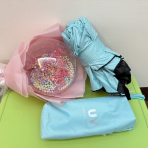 粉色素面手動兩用傘